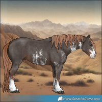 Horse Color:Liver Chestnut Sabino 