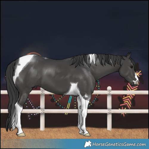 Horse Color:Black Tobiano 