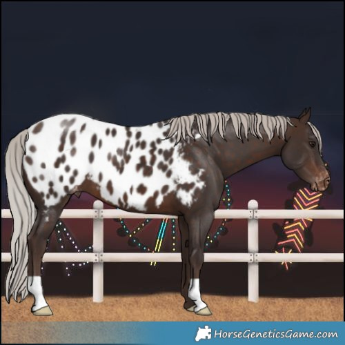 Horse Color:Silver Bay Near Leopard 