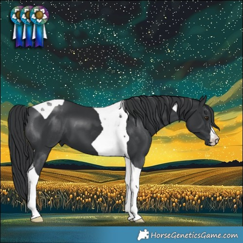 Horse Color:Black Tobiano 