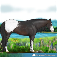 Horse Color:Brown Snowcap 