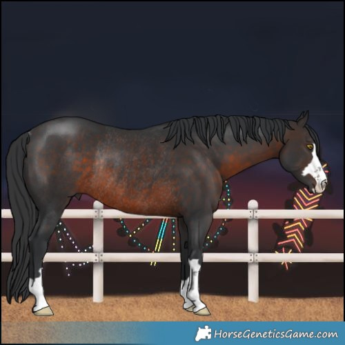 Horse Color:Brown Rabicano