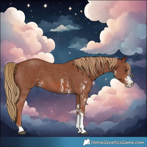 Horse Color:Chestnut Sabino