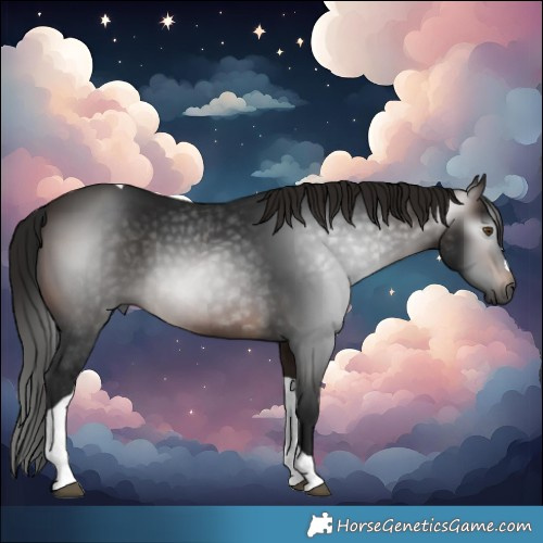 Horse Color:Gray Bay Tobiano 