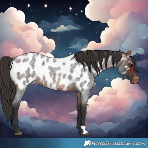 Horse Color:Bay Roan Near Leopard 