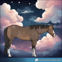 Horse Color:Bay Dun