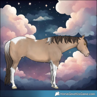 Horse Color:Amber Champagne Tobiano 