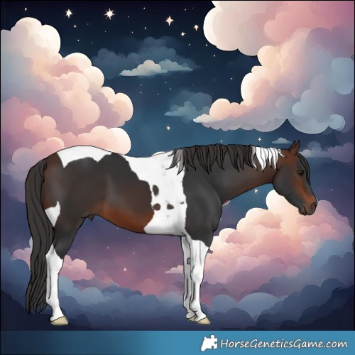Horse Color:Brown Tobiano