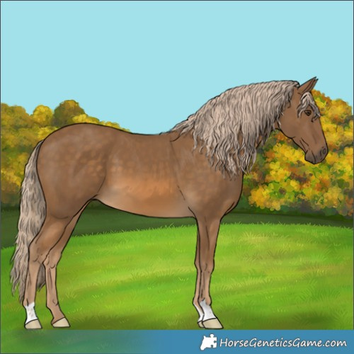 Horse Color:Chocolate Palomino 