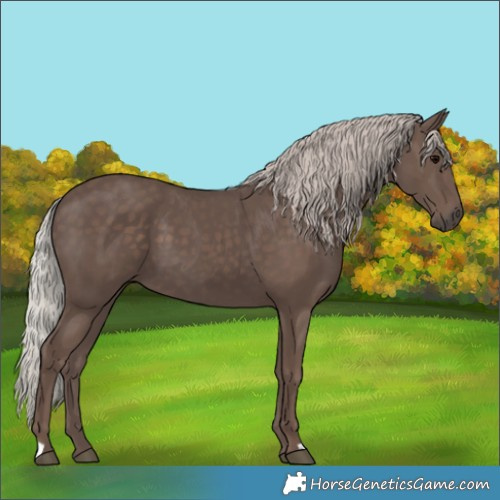 Horse Color:Silver Black 