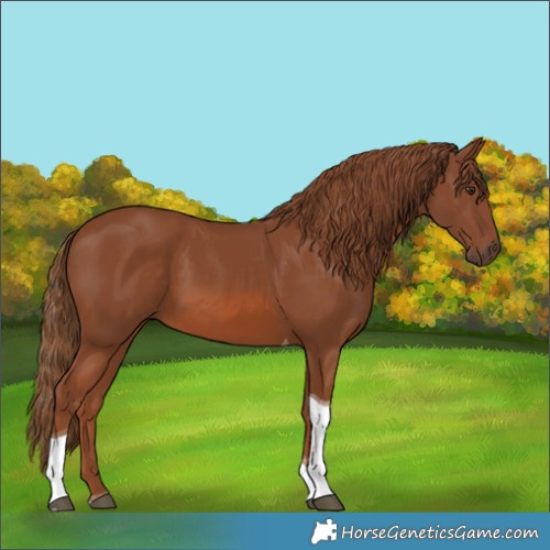 Horse Color:Chestnut Tobiano 