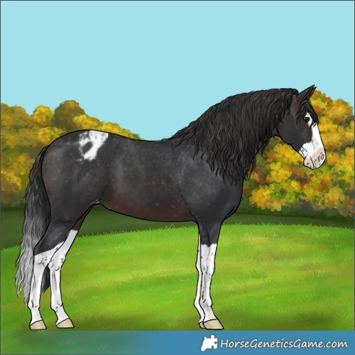 Horse Color:Brown Splash Blanket
