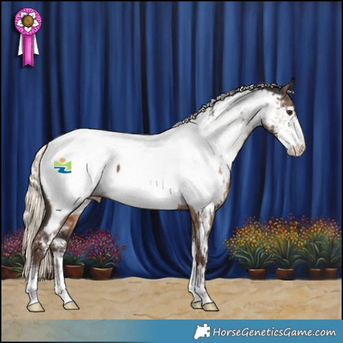 Horse Color:Liver Red Dun Mushroom Sabino Appaloosa Brindle 