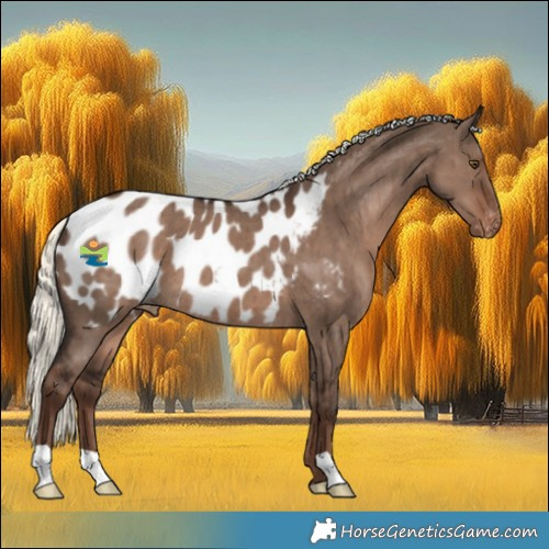 Horse Color:Liver Red Dun Mushroom Appaloosa Brindle 