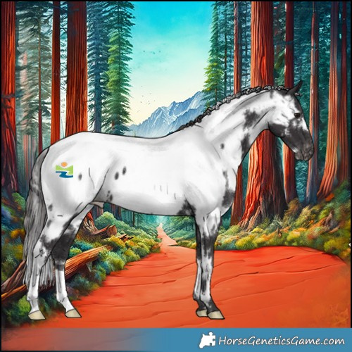 Horse Color:White Spotted Smoky Black Appaloosa 