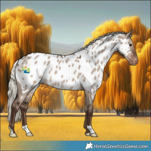 Horse Color:Liver Red Dun Mushroom Appaloosa 