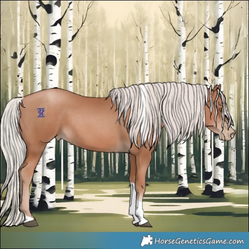 Horse Color:Silver Black Pearl Tobiano 