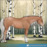 Horse Color:Silver Black Pearl Tobiano 