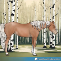 Horse Color:Silver Black Pearl Tobiano 