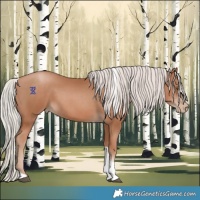 Horse Color:Silver Black Pearl Tobiano