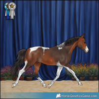 Horse Color:Bay Tobiano 