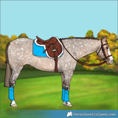 Horse Color:Bay Roan Dun Snowflake Varnish
