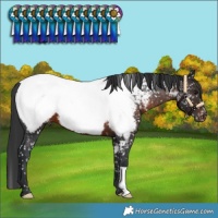 Horse Color:Brown Near Fewspot