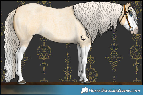 Horse Color:Palomino Roan Splash