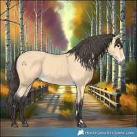 Horse Color:Buckskin 