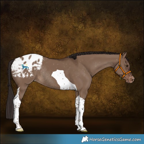Horse Color:Liver Red Dun Tobiano Blanket Rabicano 