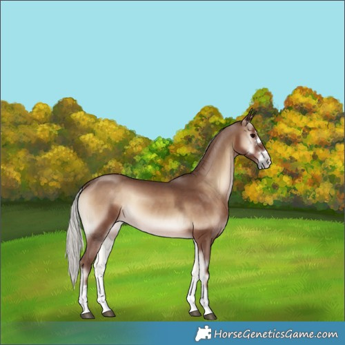 Horse Color:Silver Blue Onyx