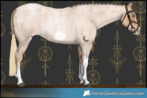 Horse Color:Red Roan Pearl Tobiano Frame