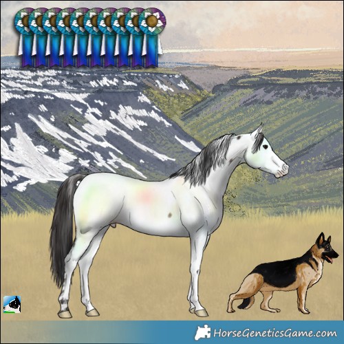 Horse Color:Brown Near Fewspot Rabicano 
