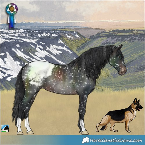 Horse Color:Brown Snowcap Rabicano 