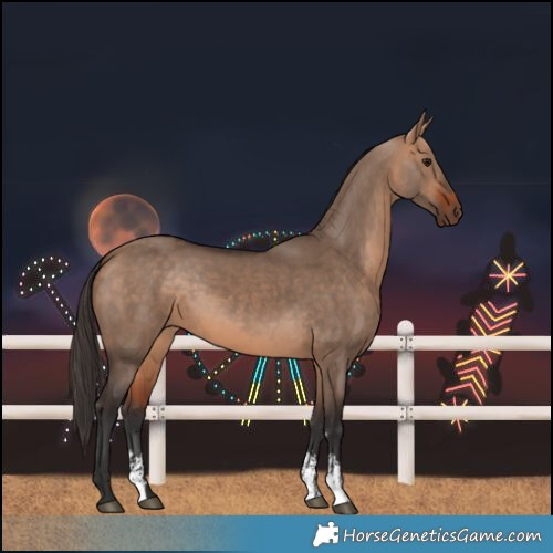 Horse Color:Bay Dun Sabino 