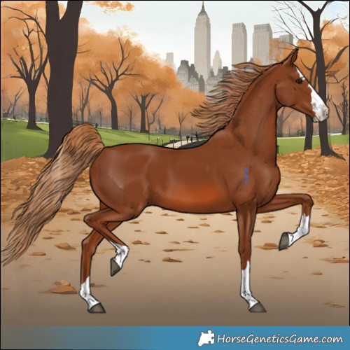 Horse Color:Chestnut 