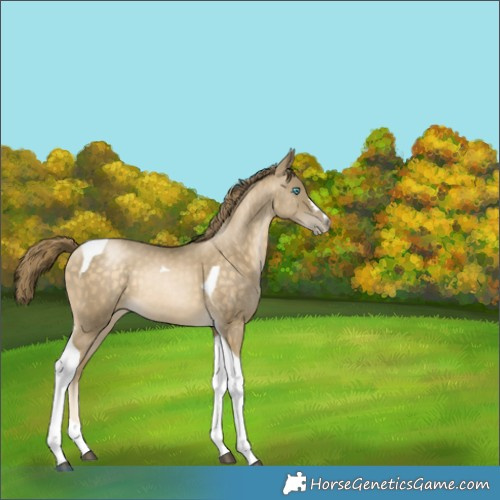 Horse Color:Brown Snowdrop Pearl Tobiano Rabicano