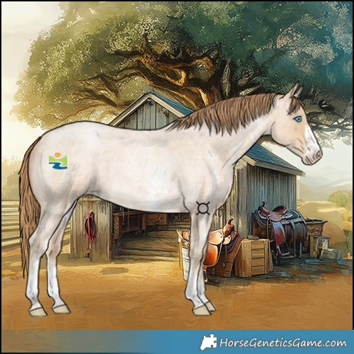 Horse Color:Brown Roan Snowdrop Pearl Sabino Rabicano