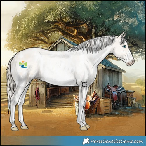 Horse Color:White Spotted Liver Red Dun Snowdrop Pearl Sabino Rabicano