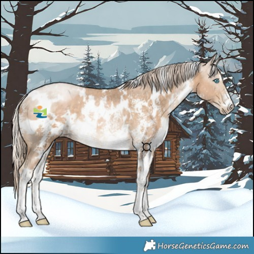 Horse Color:White Spotted Liver Chestnut Snowdrop Sabino Rabicano 