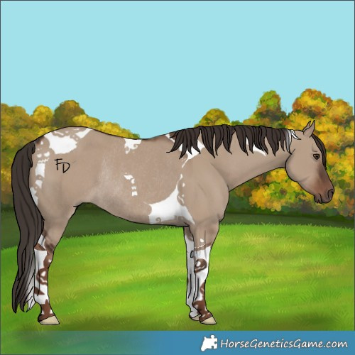 Horse Color:Liver Red Dun Tobiano Rabicano