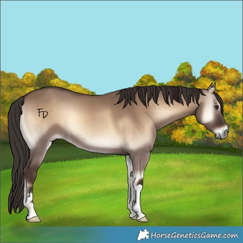 Horse Color:Liver Red Dun Onyx 