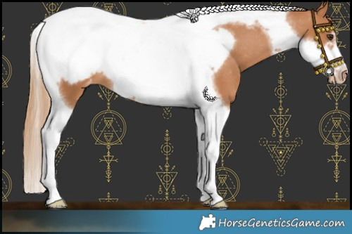 Horse Color:Chestnut Tobiano Frame Blanket 