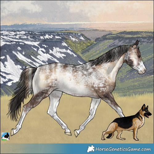 Horse Color:Powder White Liver Red Onyx Ice Sabino Rabicano