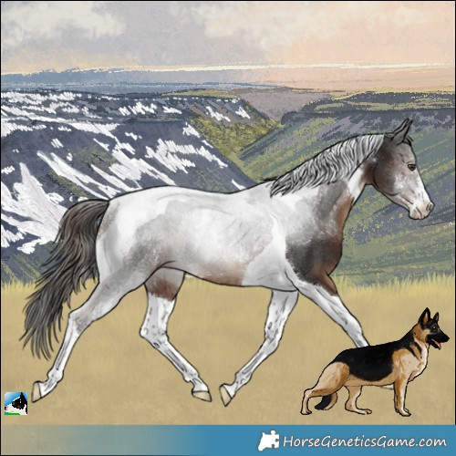 Horse Color:Powder White Liver Chestnut Tobiano Rabicano 