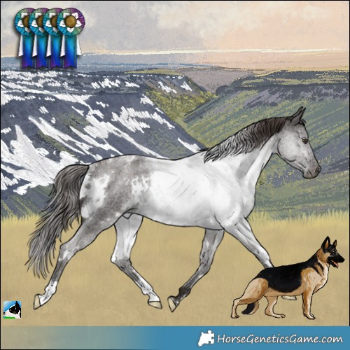 Horse Color:White Spotted Liver Red Roan Rabicano
