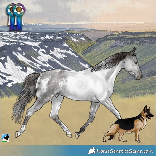 Horse Color:White Spotted Liver Red Roan Rabicano