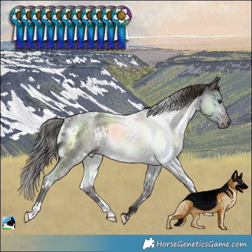 Horse Color:White Spotted Liver Red Roan Rabicano 