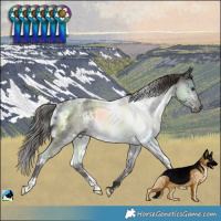Horse Color:White Spotted Liver Red Roan Rabicano 