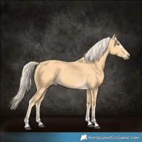 Horse Color:Pseudo Palomino 